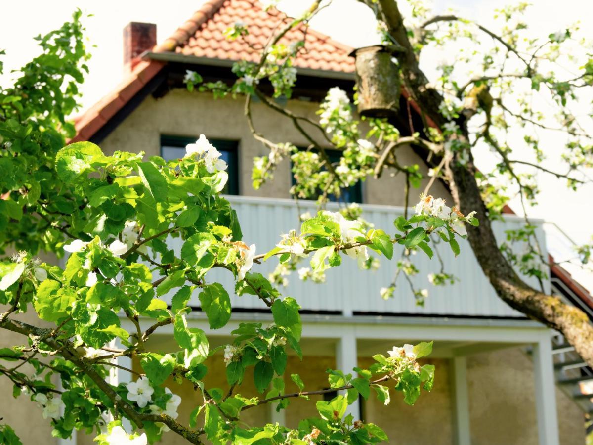 Ferienwohnung Rohlffs Stolpe Auf Usedom Extérieur photo